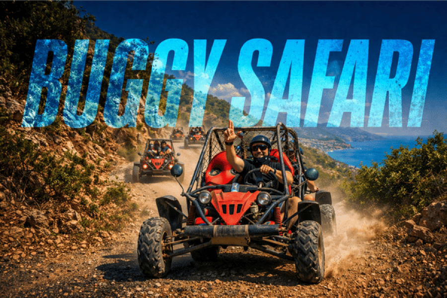 Buggy Safari