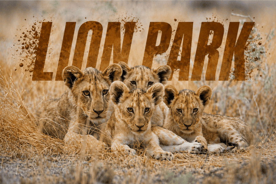 ⁠Green Canyon & Lion Park